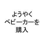 ついにベビーカーを購入