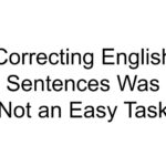 Correcting English Sentences Was Not an Easy Task