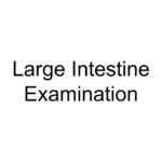 Large Intestine Examination