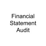 Financial Statement Audit