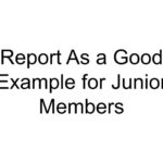 Report As a Good Example for Junior Members