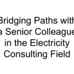 Bridging Paths with a Senior Colleague in the Electricity Consulting Field