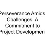 Perseverance Amidst Challenges: A Commitment to Project Development