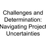 Challenges and Determination: Navigating Project Uncertainties