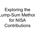 Exploring the Lump-Sum Method for NISA Contributions