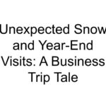 Unexpected Snow and Year-End Visits: A Business Trip Tale