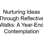 Nurturing Ideas Through Reflective Walks: A Year-End Contemplation