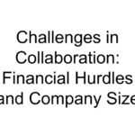 Challenges in Collaboration: Financial Hurdles and Company Size