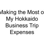 Making the Most of My Hokkaido Business Trip Expenses