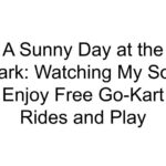 A Sunny Day at the Park: Watching My Son Enjoy Free Go-Kart Rides and Play