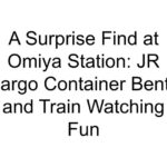 A Surprise Find at Omiya Station: JR Cargo Container Bento and Train Watching Fun