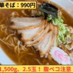 メガ中華そばは伊達じゃない！家族でシェアして990円、幸楽苑が神コスパすぎた
